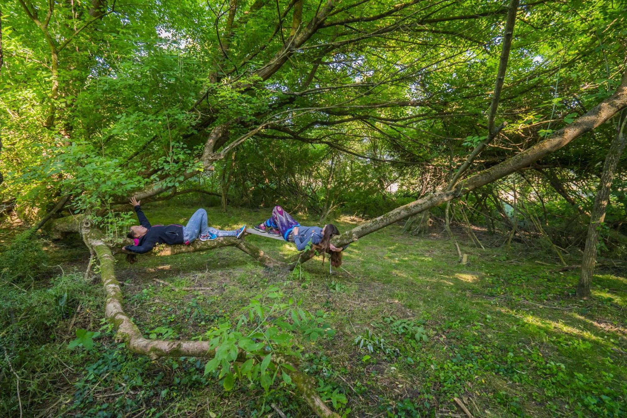 Szellos Ret Camping Balvanyos Buitenkant foto