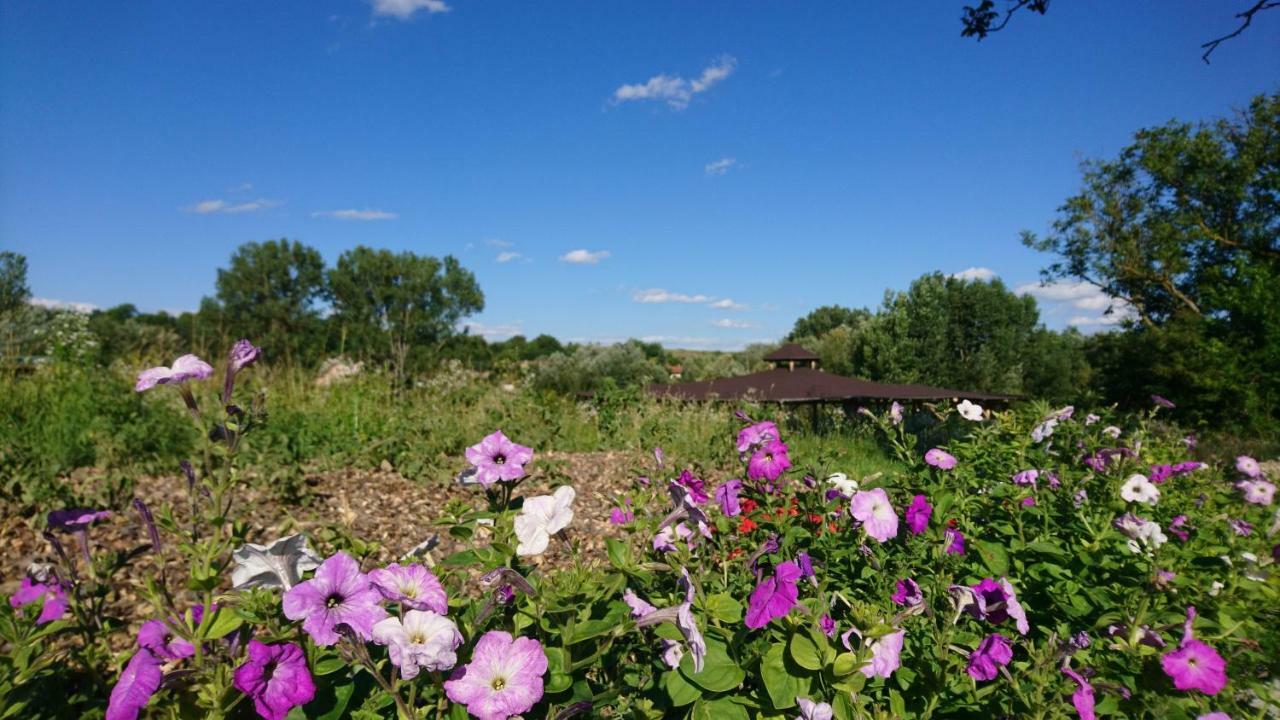 Szellos Ret Camping Balvanyos Buitenkant foto