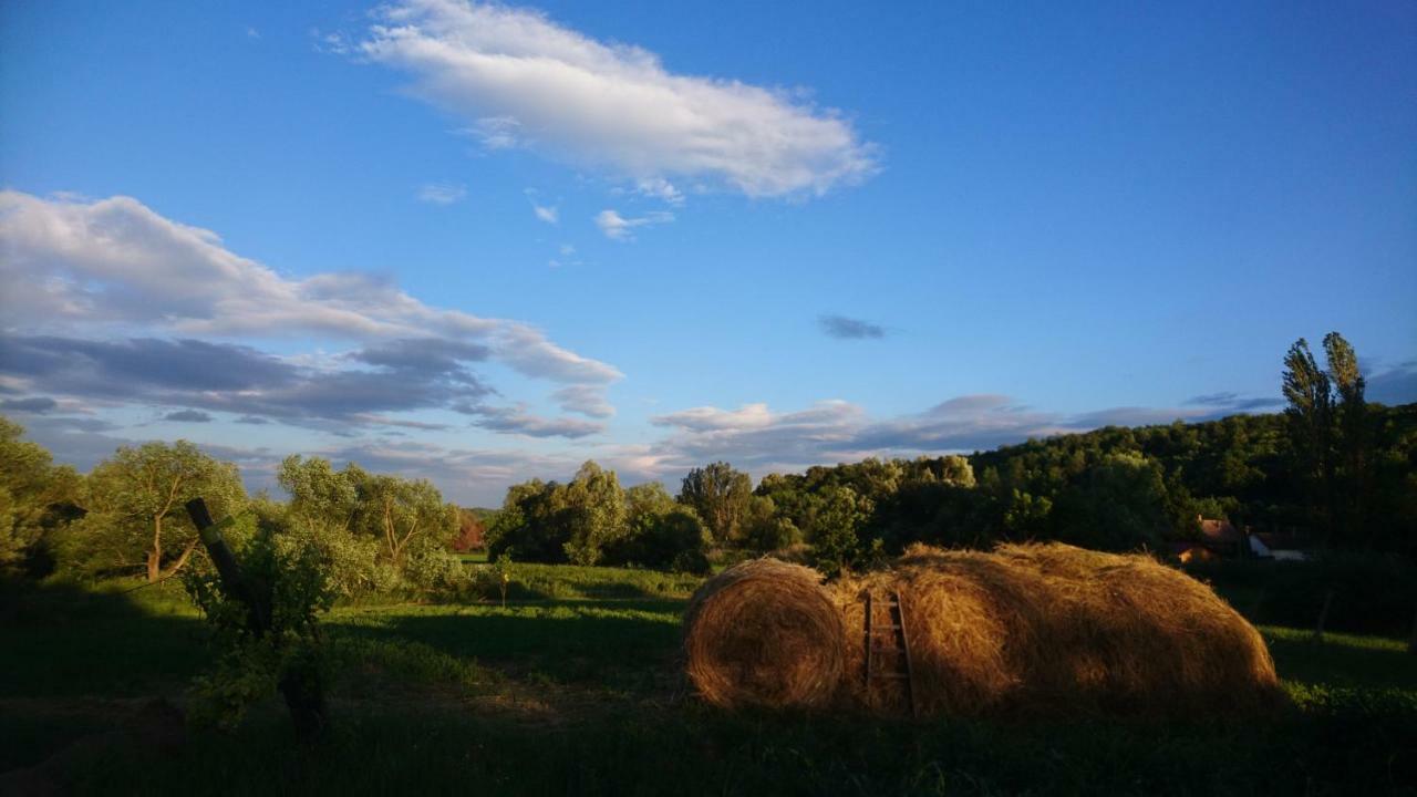 Szellos Ret Camping Balvanyos Buitenkant foto
